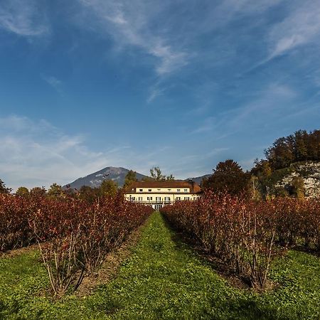 Villa Flora Anif Zewnętrze zdjęcie