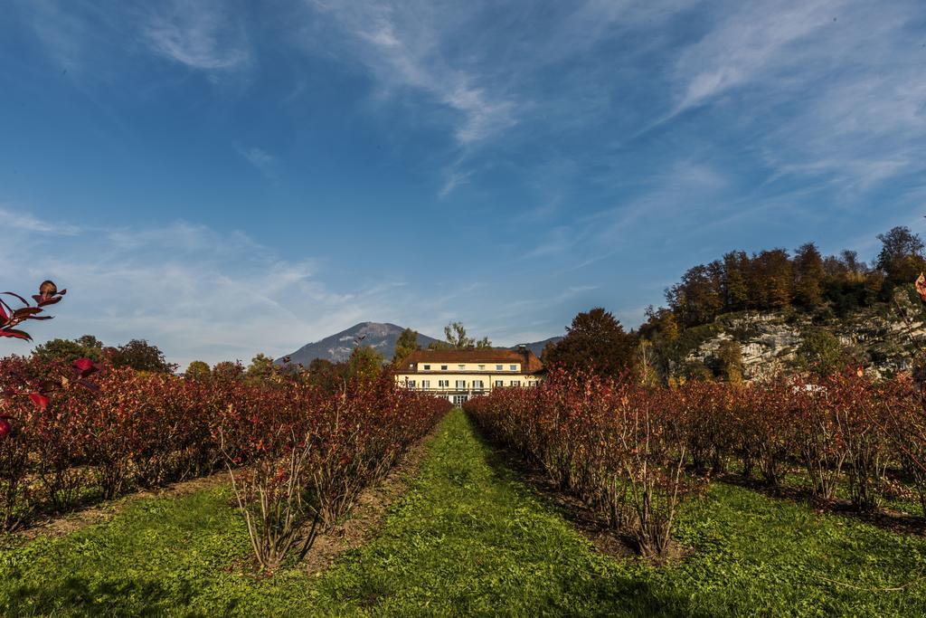 Villa Flora Anif Zewnętrze zdjęcie