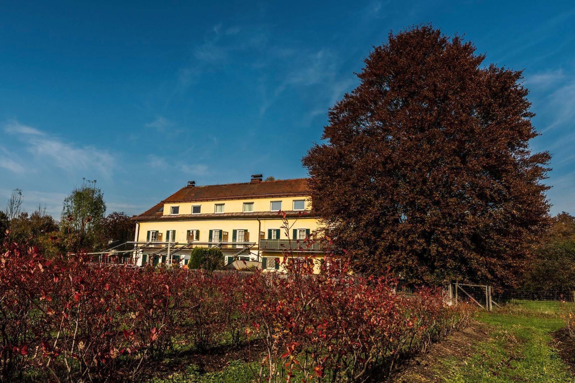 Villa Flora Anif Zewnętrze zdjęcie